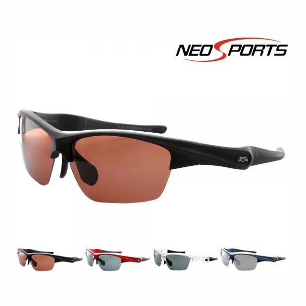 アイゾーン NEO SPORTS P533
