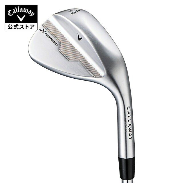 X FORGED BLACK アイアン