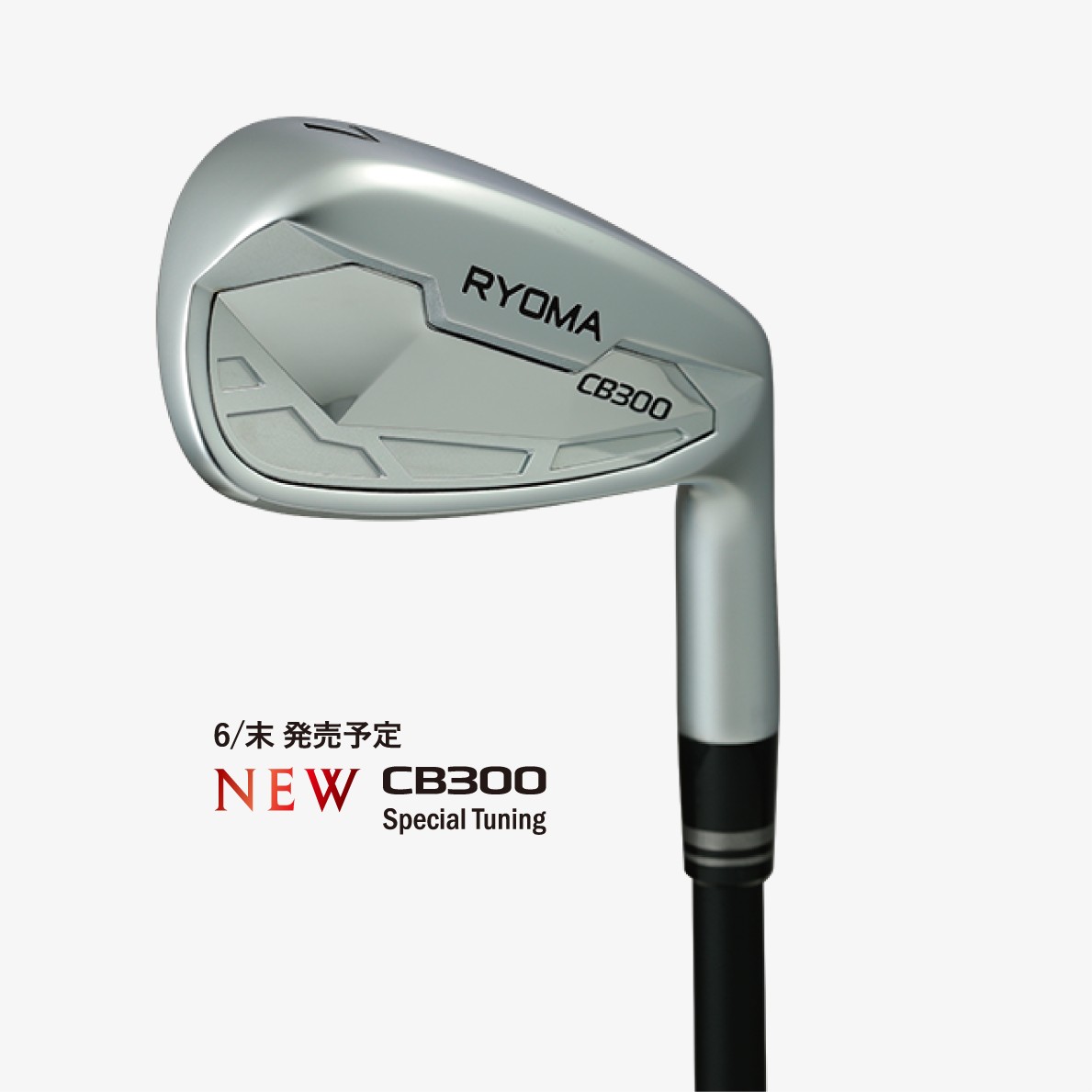 RYOMA Iron CB300 Special Tuning