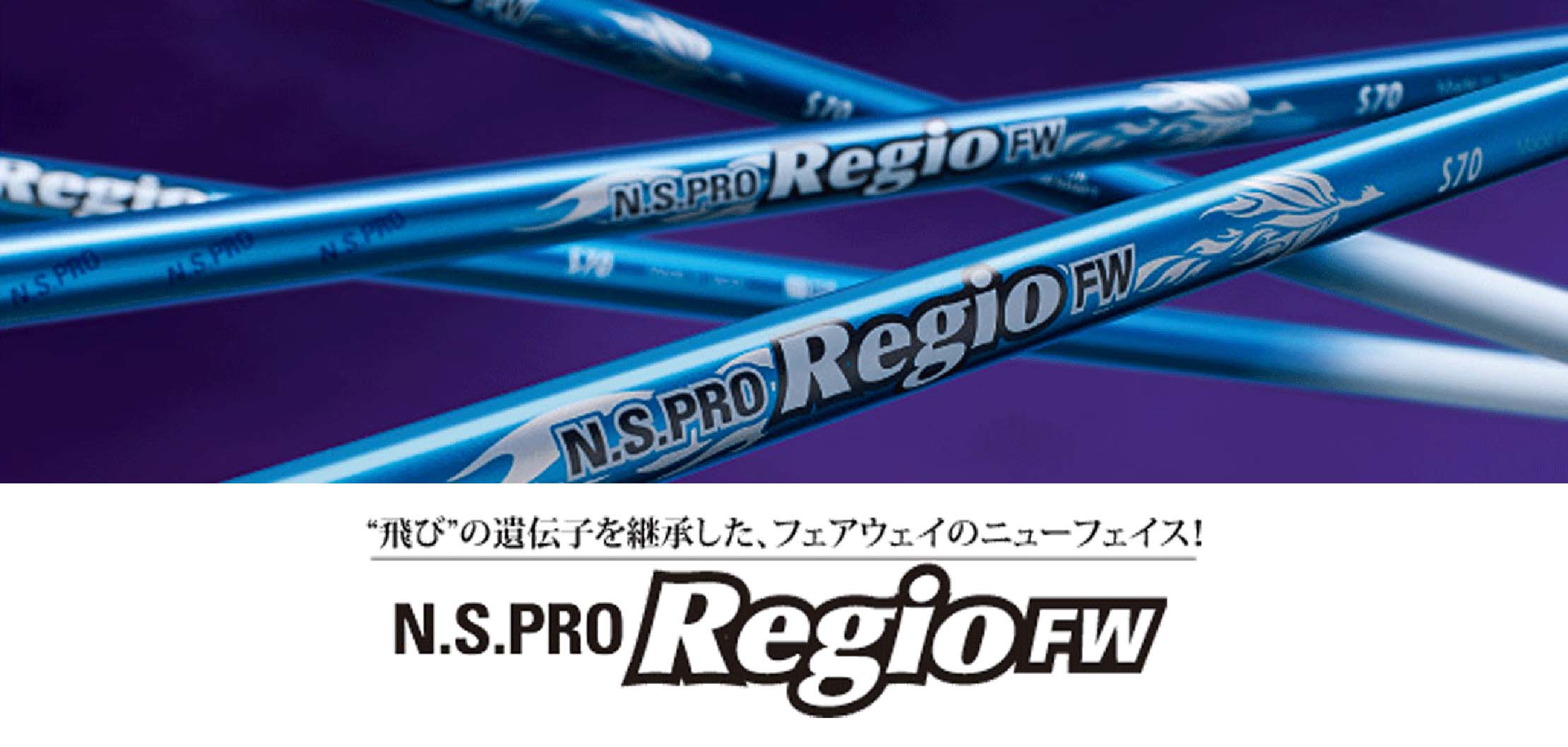 N S PRO REGIO FW TYPE70
