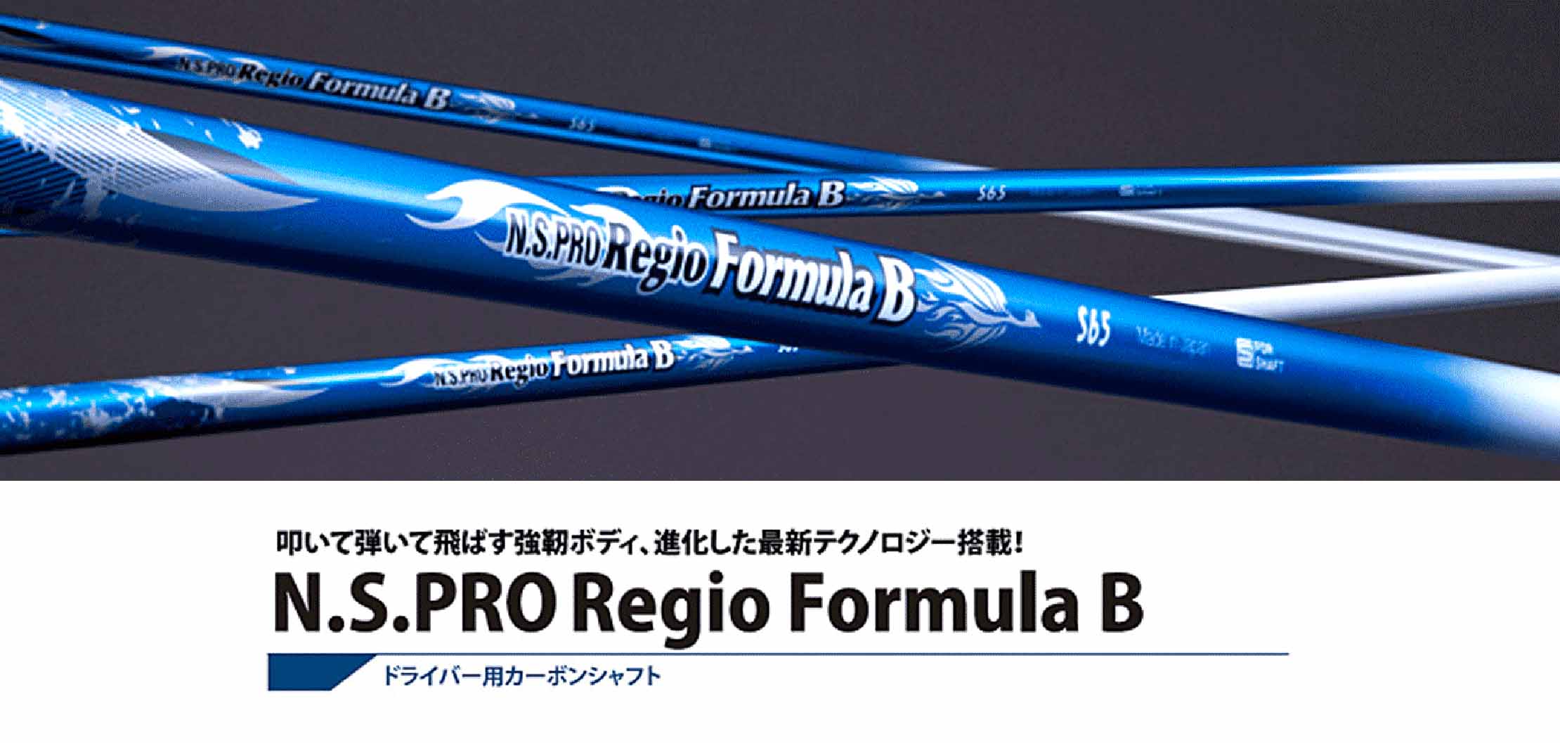 N S PRO REGIO FORMULA B TYPE65