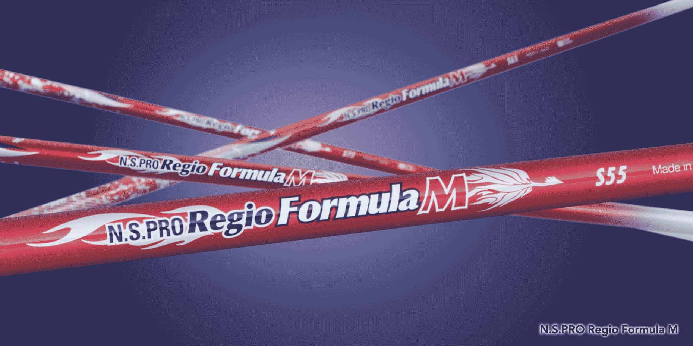 N S PRO REGIO FORMULA M TYPE65