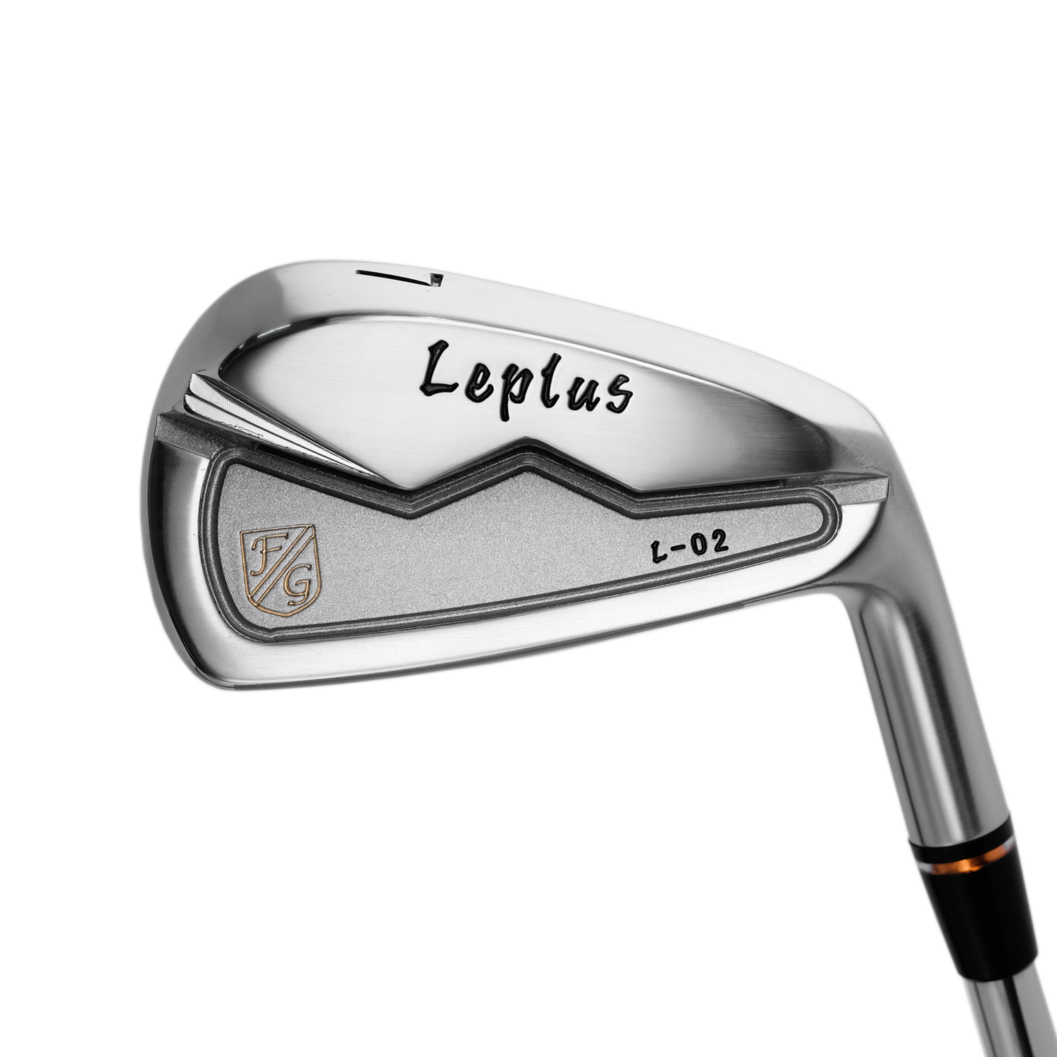 藤本技工 Leplus L-02 アイアン