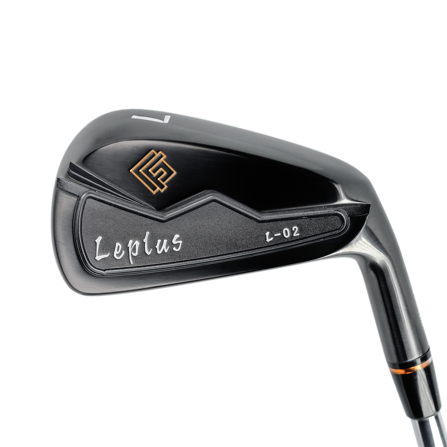 藤本技工 Leplus L-02 Black IP アイアン