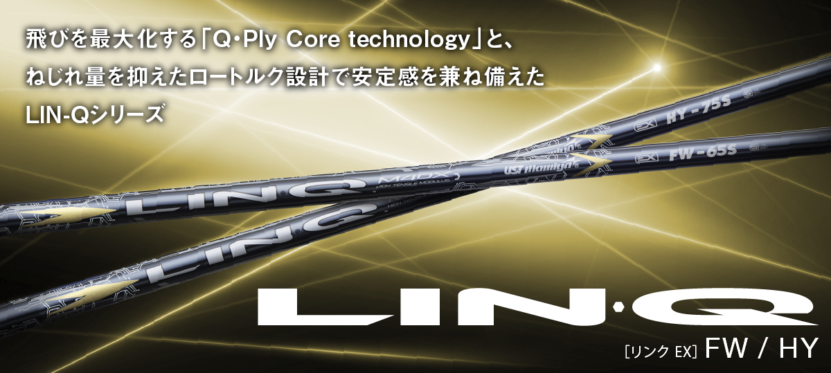 LIN Q EX FW 55